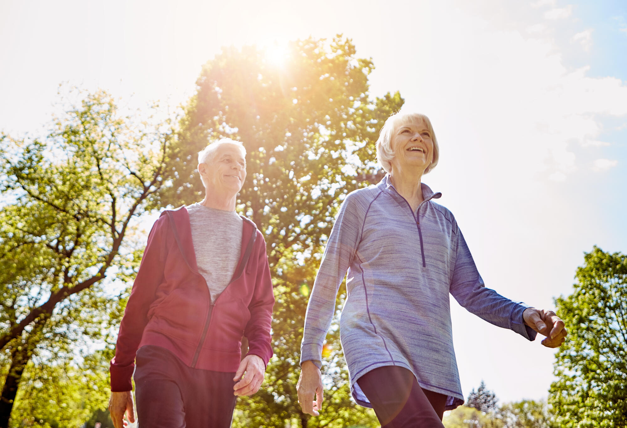 Nature Walks Designed for Assisted Living Residents